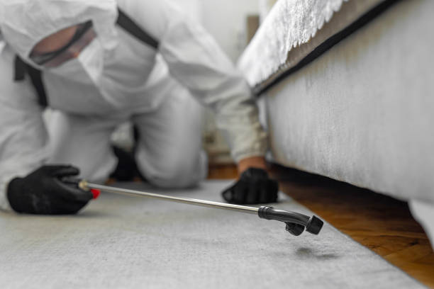 Professional Bed Bug Control technician working in Pleasant Valley, WV