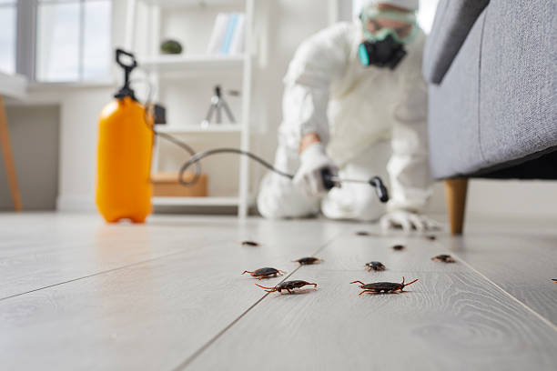 Trusted Fumigation Services service in Pleasant Valley, WV - Nex Pest Control