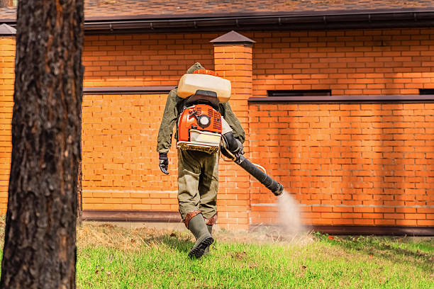 Trusted Emergency Pest Control service in Pleasant Valley, WV - Nex Pest Control